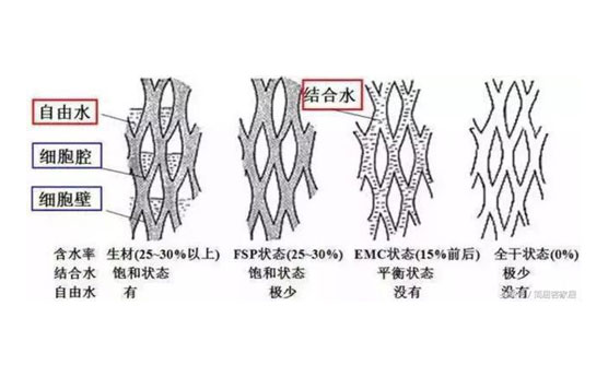 木材含水结构图